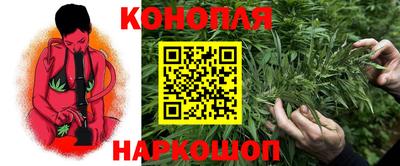 гашик Янаул