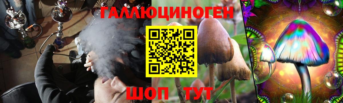 Псилоцибиновые грибы MAGIC MUSHROOMS  Псилоцибиновые грибы мухоморы  Вход с VPN  Архангельск 