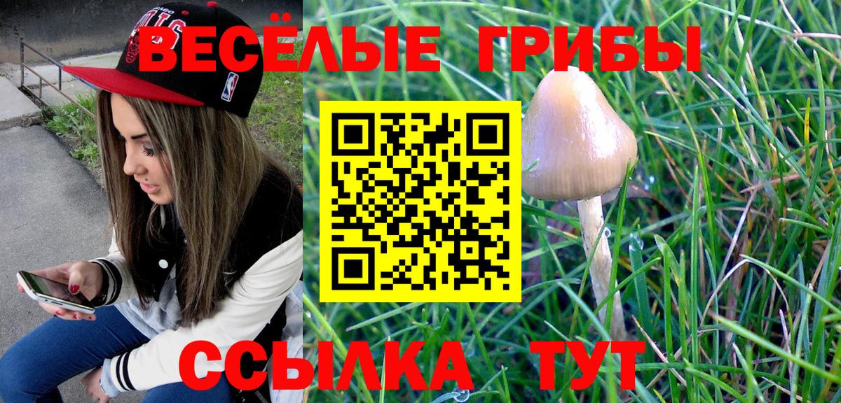 Псилоцибиновые грибы мухоморы Архангельск